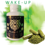WakeUp