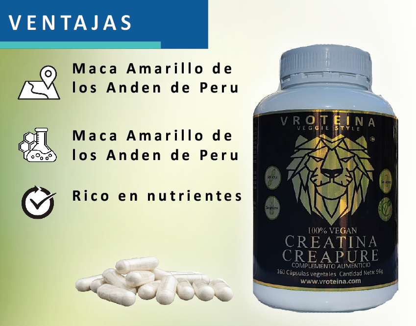CREATINA CREAPURE - Imagen 4
